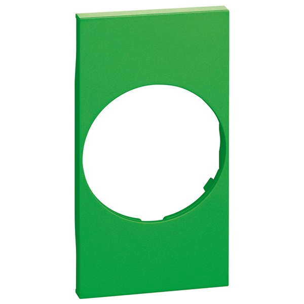 Лицевая панель для розеток 2К+З немецкого стандарта 2 модуля BTicino Living Now зеленый