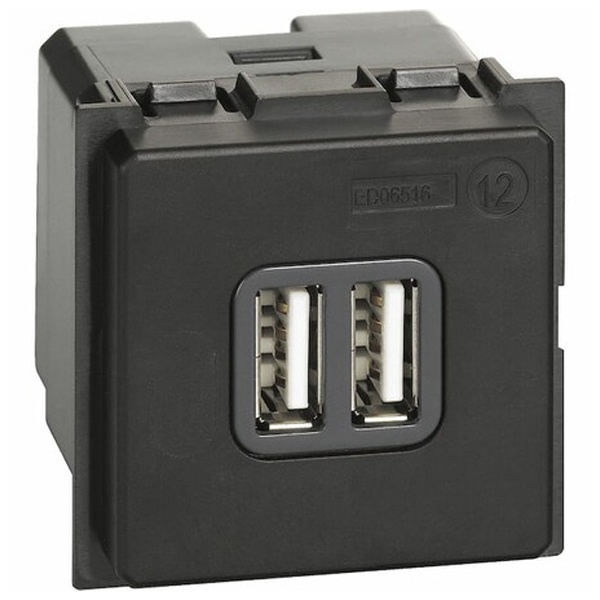 Зарядное устройство USB Стандарт А-А 3000мА 2 модуля механизм BTicino Living Now