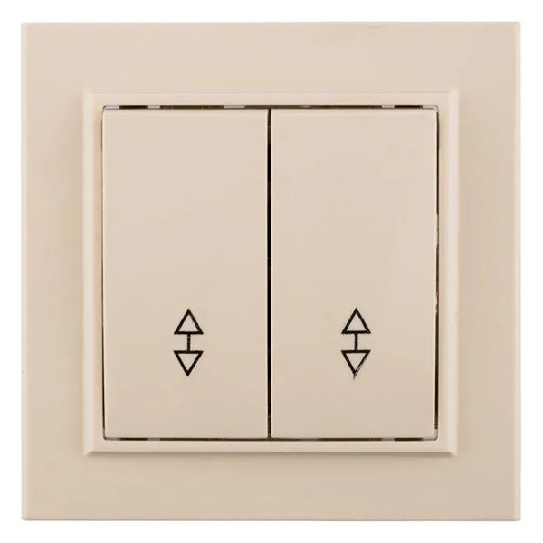 Переключатель 2-клавишный EKF Basic 10А IP20 Минск бежевый