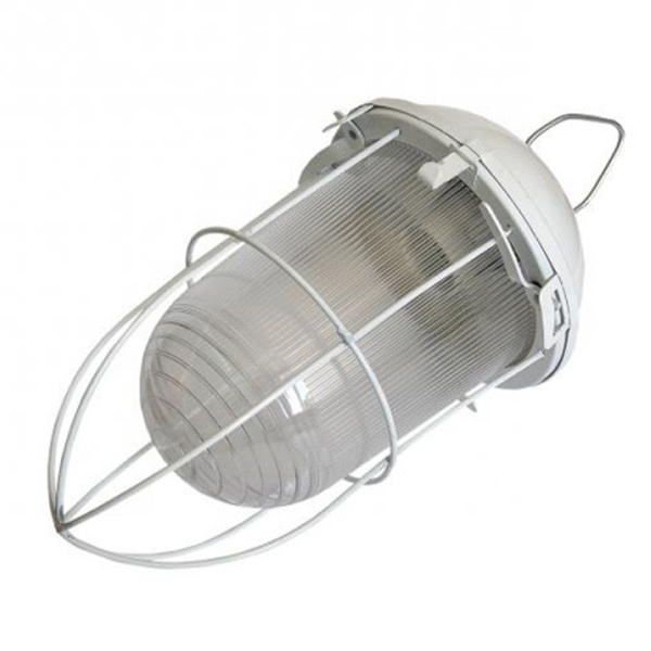 Светильник ЭРА НСП 02-100-003 с решеткой Желудь сталь белый IP54 E27 max 100W 170х300