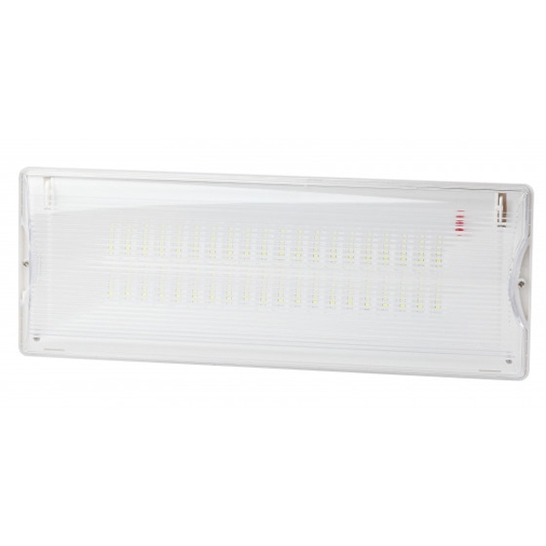 Светильник аварийный ЭРА DPA-301-1-65 постоянный 40LED 3ч IP65 NiCD