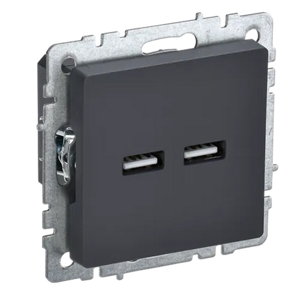 Зарядка ИЭК BRITE USB A+A 3,1А графит (РЮ10-1-БрГ)