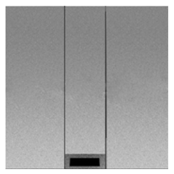 Вывод кабельный 2 модуль ABB Zenit, серебристый (N2207 PL)