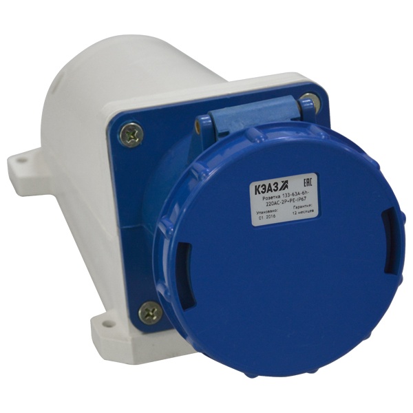 Розетка для монтажа на поверхность КЭАЗ 133 63А 6h 220AC 2P+PE IP67
