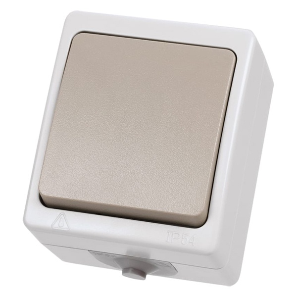 Выключатель одноклавишный TDM открытой установки Вуокса 10А IP54 серый