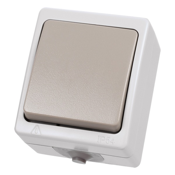 Переключатель одноклавишный TDM открытой установки Вуокса 10А IP54 серый