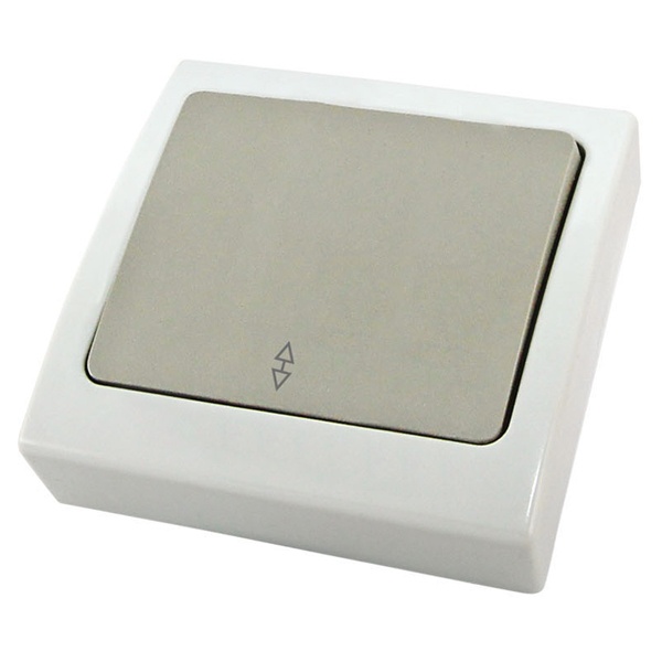 Переключатель одноклавишный TDM скрытой установки Вуокса 10А IP54 серый