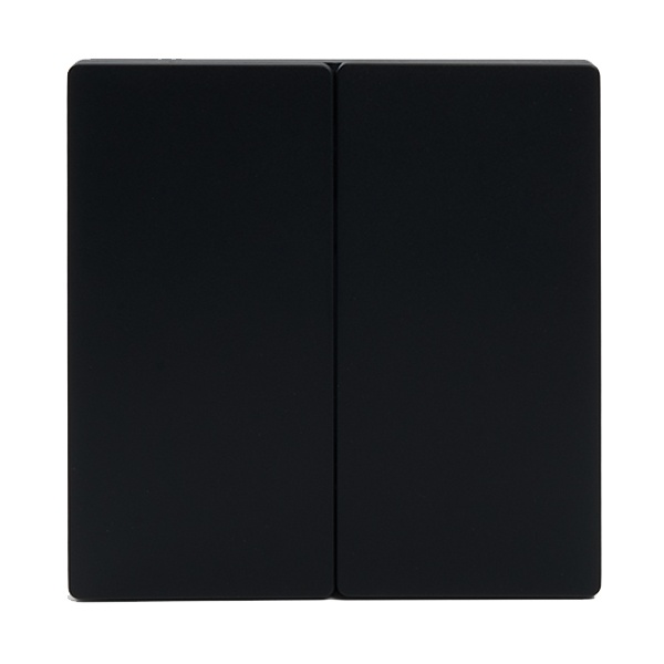 Выключатель дистанционного управления 2-клавишный Feron TM82 (не требует питания) черный