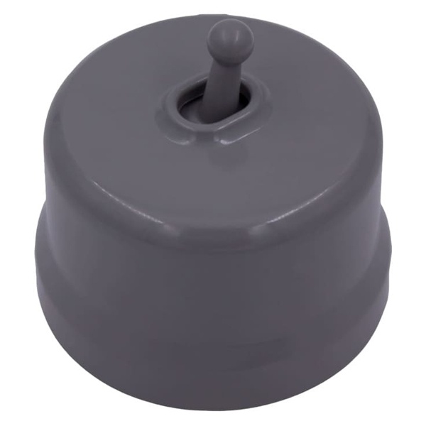 Накладной выключатель 1-клавишный Bironi Лизетта пластик титан (тумблерный)