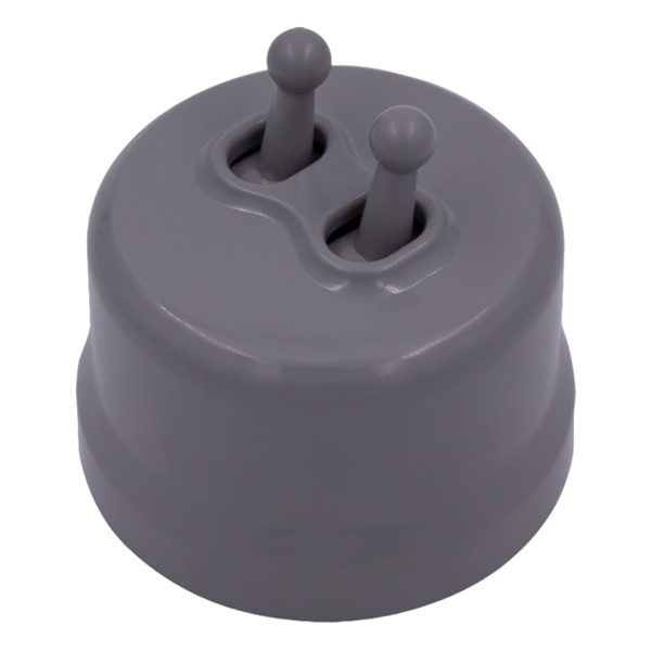 Накладной выключатель 2-клавишный Bironi Лизетта пластик титан (тумблерный)