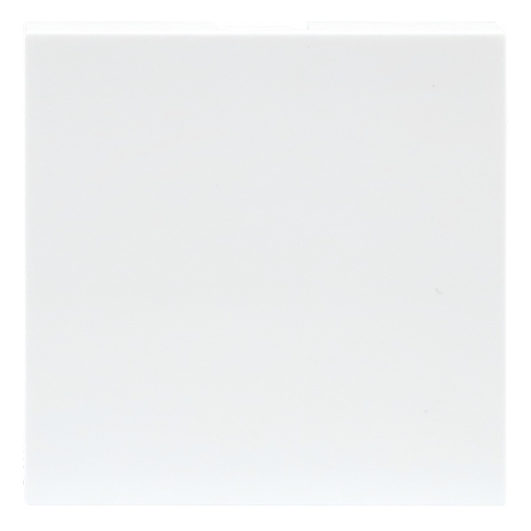 Заглушка Donel 2 модуля 45х45мм белый