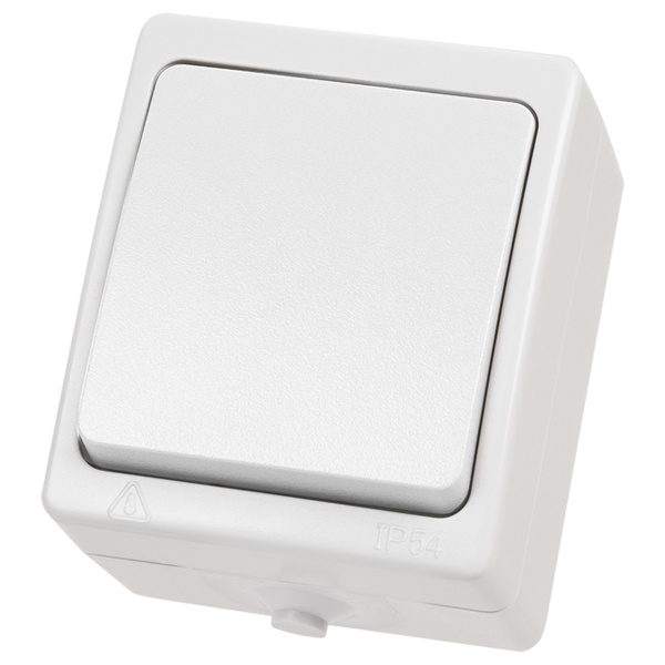 Выключатель одноклавишный TDM открытой установки Вуокса 10А IP54 белый