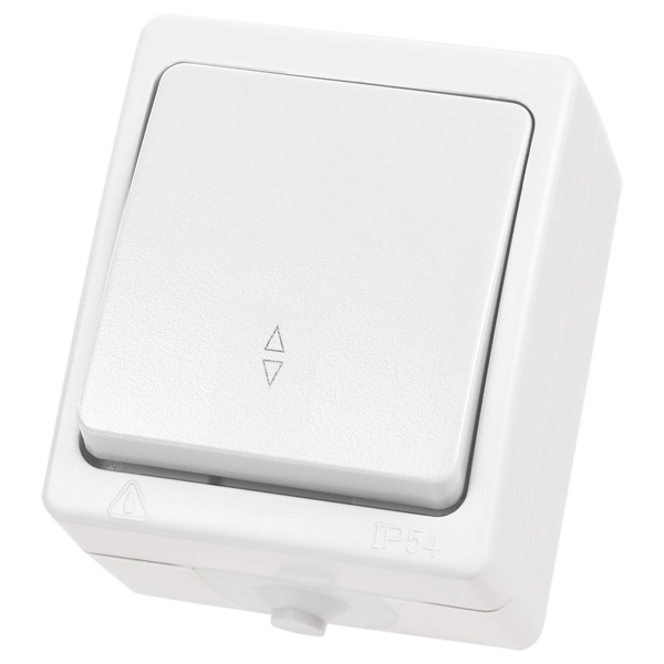 Переключатель одноклавишный TDM открытой установки Вуокса 10А IP54 белый