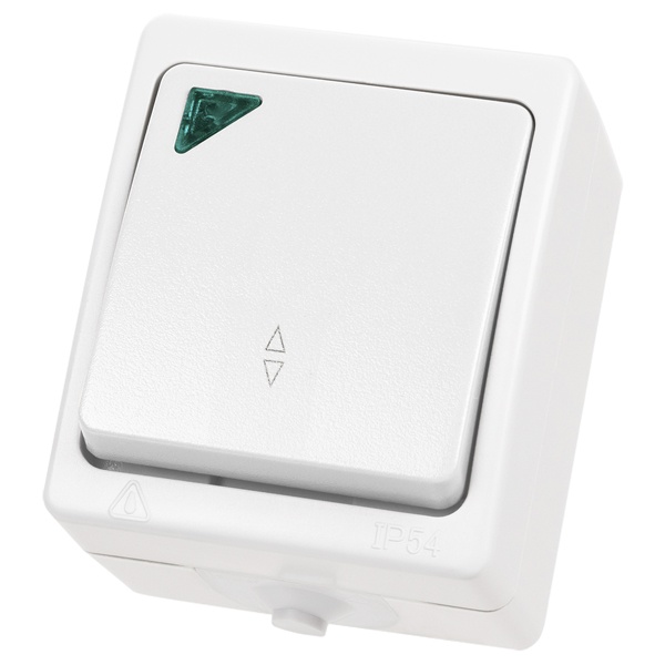 Переключатель одноклавишный TDM открытой установки Вуокса с подсветкой 10А IP54 белый