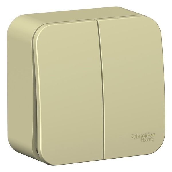 Накладной выключатель 2-клавишный SE Blanca 10А 250В с изолирующей пластиной бежевый