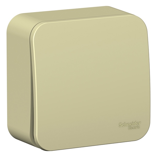 Накладной переключатель 1-клавишный SE Blanca 10А 250В с изолирующей пластиной бежевый