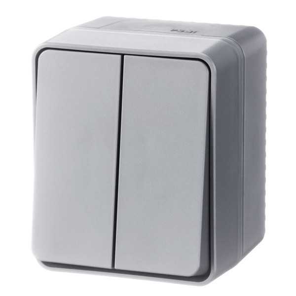 Двухклавишный выключатель открытой установки SE AtlasDesign Profi54 10A IP54 серый