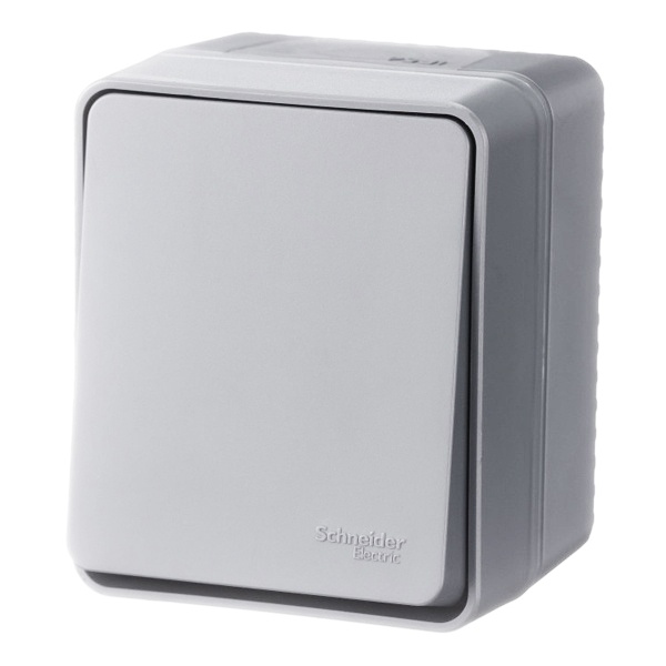 Одноклавишный переключатель открытой установки SE AtlasDesign Profi54 10A IP54 серый