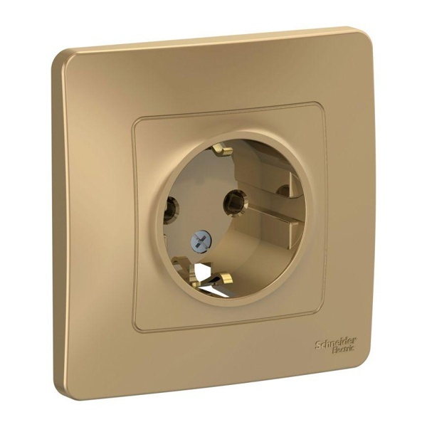 Розетка с заземлением SE Blanca 2Р+Е без шторок 16А, 250В с/у титан