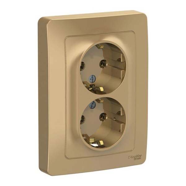 Розетка двойная с заземлением SE Blanca 2х2Р+Е без шторок 16А, 250В с/у титан