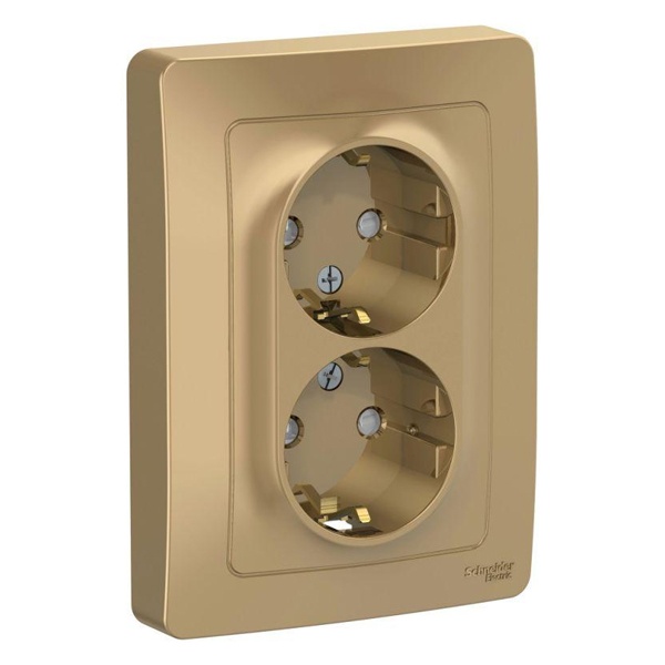 Розетка двойная с заземлением SE Blanca 2х2Р+Е со шторками 16А, 250В с/у титан