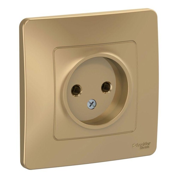 Розетка без заземления SE Blanca 2Р без шторок 16А, 250В с/у титан