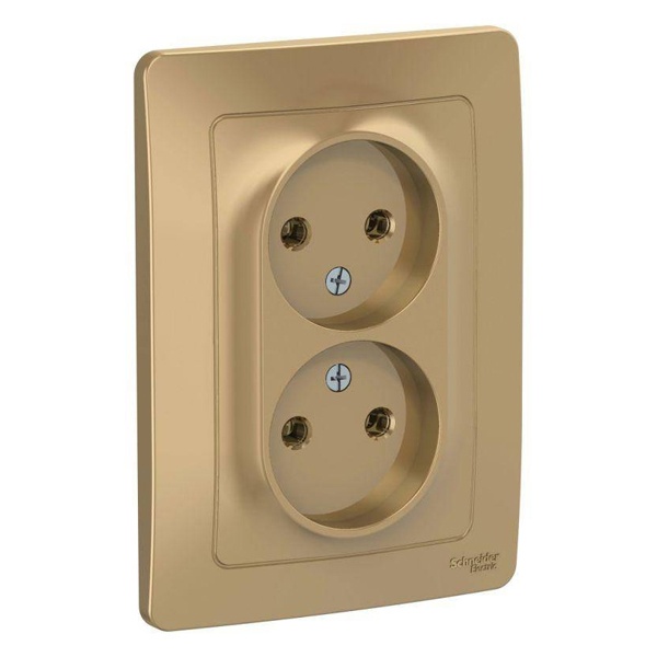 Розетка двойная без заземления SE Blanca 2х2Р без шторок 16А, 250В с/у титан