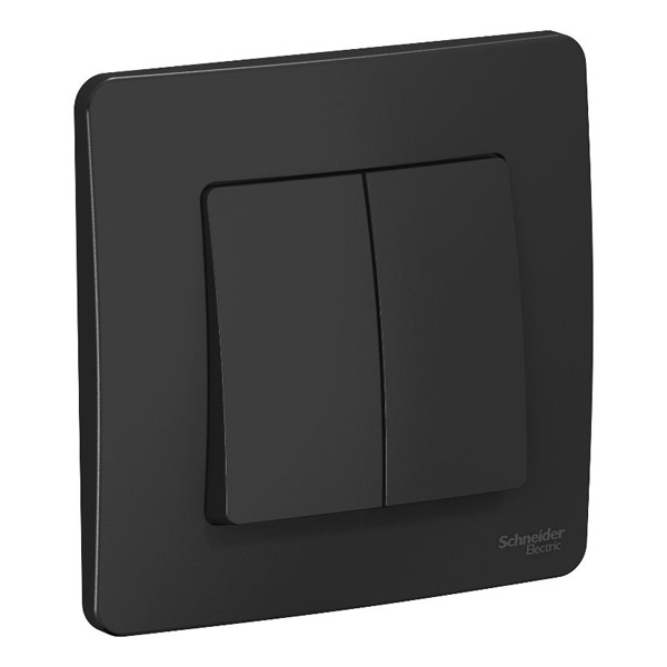 Выключатель 2-клавишный SE Blanca с/у 10A 250В антрацит