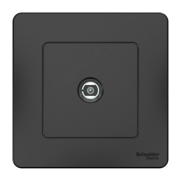 Розетка TV SE Blanca с/у антрацит