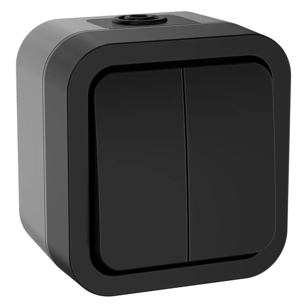 Выключатель 2-клавишный ИЭК TORS TS105 10А IP55 графит