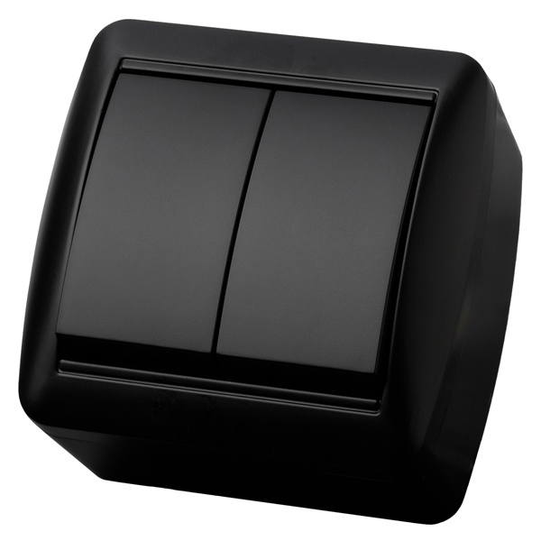 Выключатель двухклавишный TDM открытой установки Селигер 10А IP44 графит