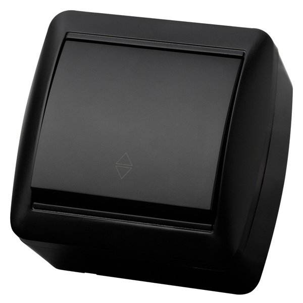 Переключатель одноклавишный TDM открытой установки Селигер 10А IP44 графит