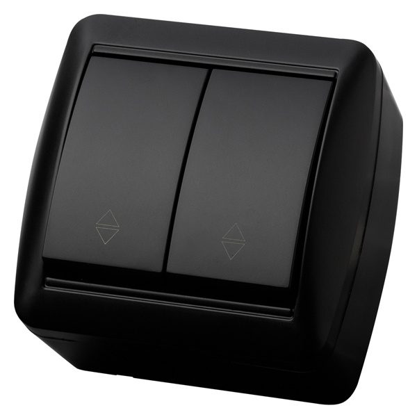 Переключатель двухклавишный TDM открытой установки Селигер 10А IP44 графит