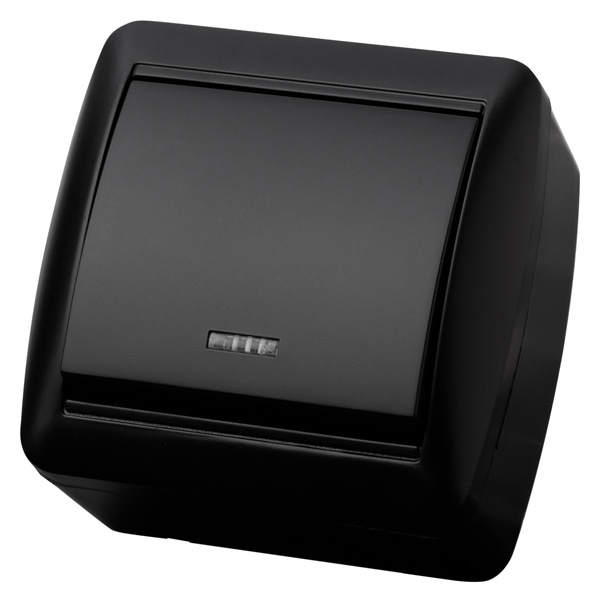 Выключатель одноклавишный TDM открытой установки Селигер с подсветкой 10А IP44 графит