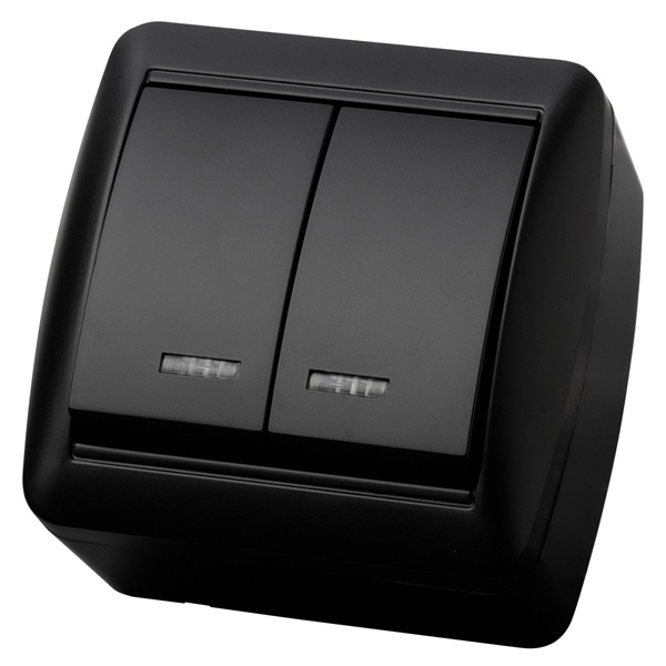 Выключатель двухклавишный TDM открытой установки Селигер с подсветкой 10А IP44 графит