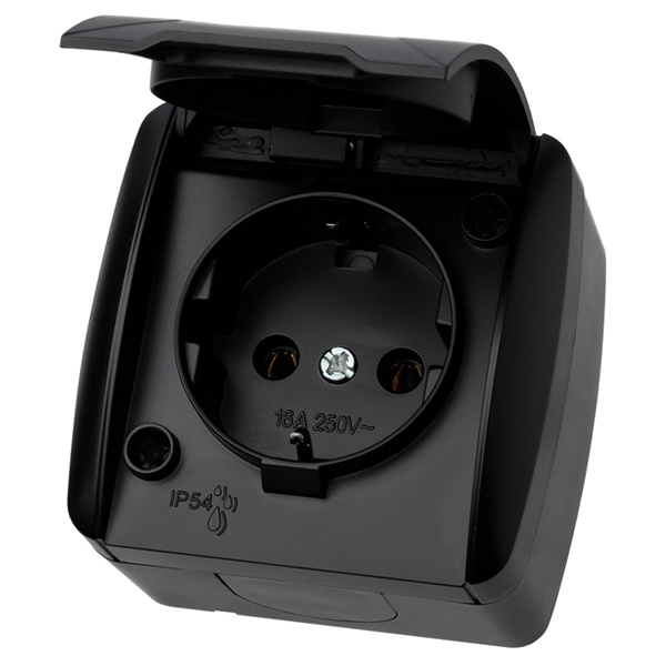Розетка TDM 2П+3 открытой установки Селигер с крышкой 16А IP54 графит