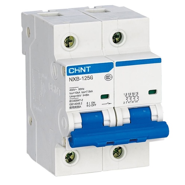 Автоматический выключатель Chint NXB-125 2P 100А 10kA х-ка C (R) (автомат электрический)