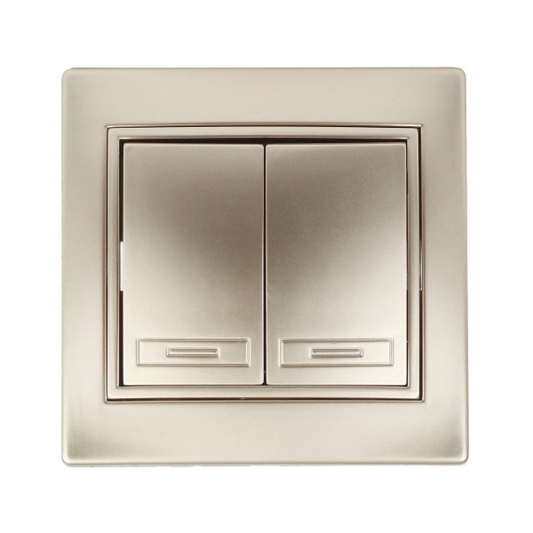 Выключатель двухклавишный Intro 10А 250В IP20 Plano, шампань 1-104-04