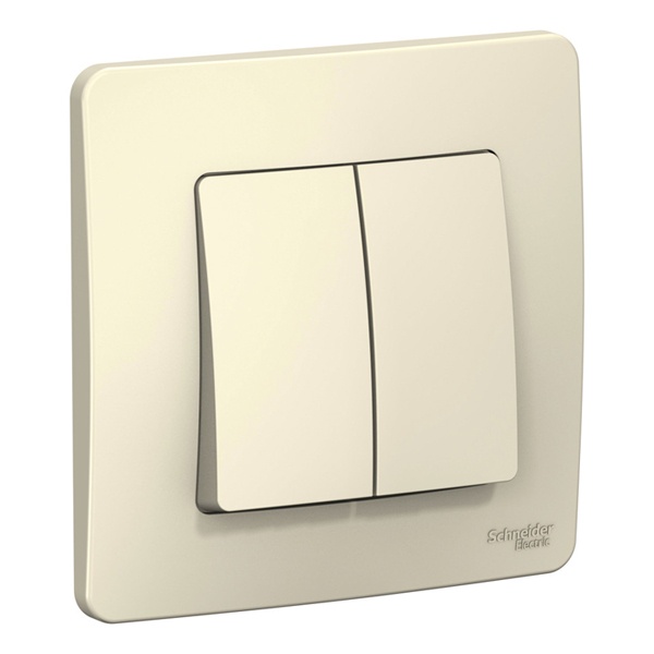Выключатель 2-клавишный SE Blanca с/у 6А 250В молочный