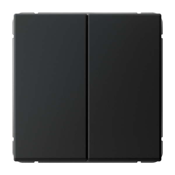 Двухклавишная кнопка без фиксации SE ArtGallery 10А карбон