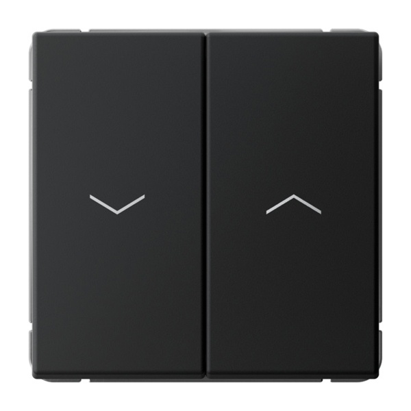 Двухклавишная кнопка без фиксации для управления жалюзи SE ArtGallery 10А карбон