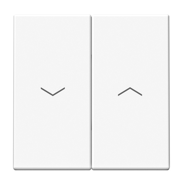 Двухклавишная кнопка без фиксации для управления жалюзи SE ArtGallery 10А лотос