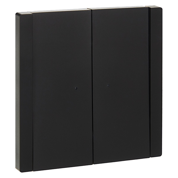 Переключатель двухклавишный с индикацией ИЭК FORTE&PIANO FP108 10А черный