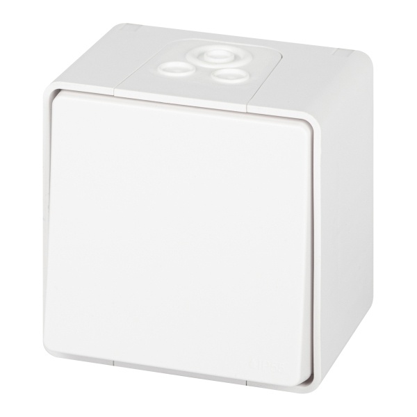 Выключатель открытой установки ЭРА Эксперт 11-1501-01 10А IP55 белый