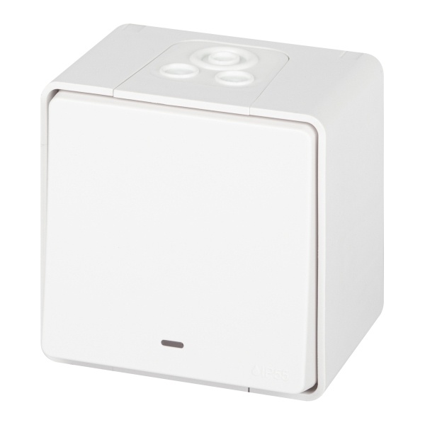 Выключатель открытой установки ЭРА Эксперт 11-1502-01 10А с подсветкой IP55 белый