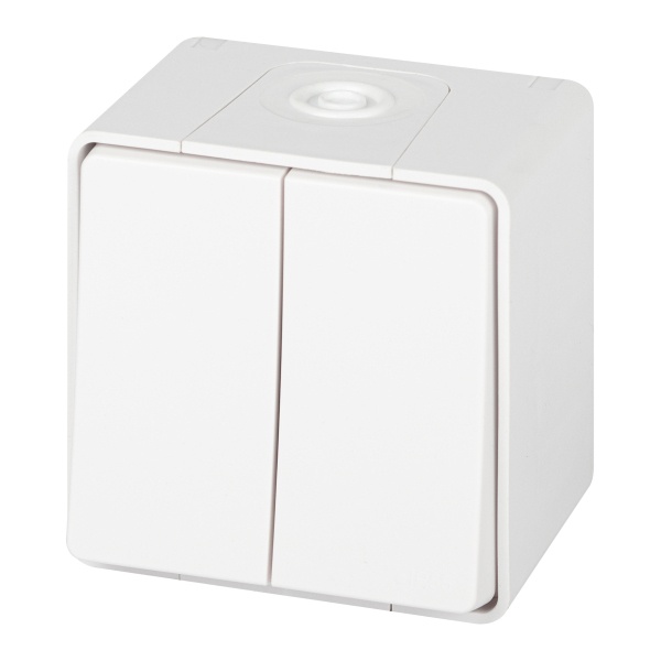 Переключатель двойной открытой установки ЭРА Эксперт 11-1506-01 10А IP55 белый