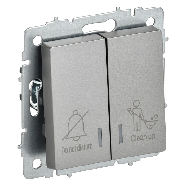 Выключатель 2-клавишный ИЭК BRITE с индикацией для отелей 10А сталь (ВС10-2-9-БрС)