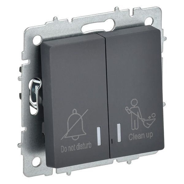 Выключатель 2-клавишный ИЭК BRITE с индикацией для отелей 10А графит (ВС10-2-9-БрГ)