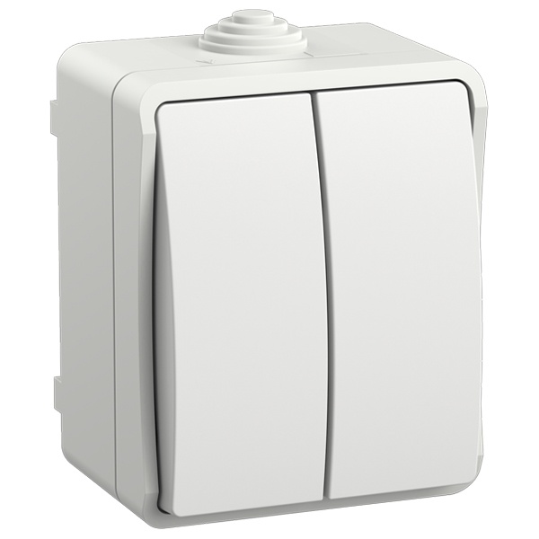 Выключатель двухклавишный для открытой установки ИЭК ФОРС ВС20-2-0-ФБ IP54 белый