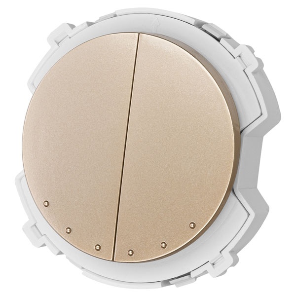 Выключатель двухклавишный TDM Байкал 16А 250В шампань